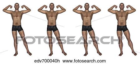 Drawing - Set of four men showing progression to become a muscular man.. Fotosearch
