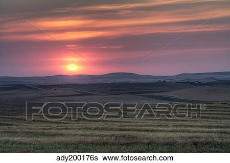 Setting sun over harvested field, Gleichen, Alberta, Canada. View Large Photo Image Stock Photograph - Setting sun over harvested field, Gleichen, Alberta, Canada.. Fotosearch