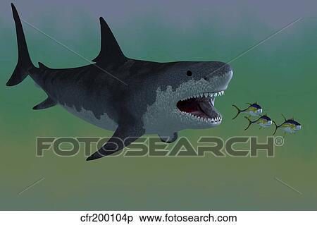 Stock Illustration - Several Tuna fish try to escape from a huge Megalodon shark.. Fotosearch