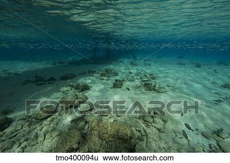 Shallow waters under Salt Pier, Bonaire, Caribbean Netherlands. View Large Photo Image Stock Photograph - Shallow waters under Salt Pier, Bonaire, Caribbean Netherlands.. Fotosearch