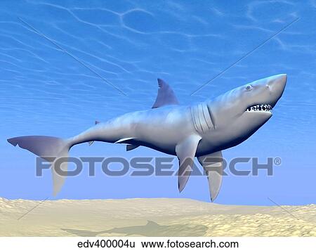 Stock Illustration - Shark swimming underwater with reflections of the sun.. Fotosearch