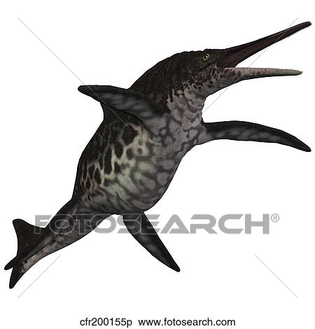 Stock Illustration - Shonisaurus, a prehistoric ichthyosaur from the Triassic period.. Fotosearch
