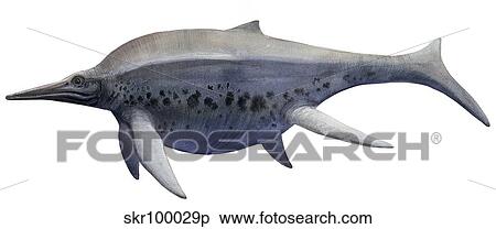 Shonisaurus, a prehistoric ichthyosaur from the Triassic age. View Large Illustration Stock Illustration - Shonisaurus, a prehistoric ichthyosaur from the Triassic age.. Fotosearch