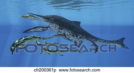 Shonisaurus hunting Cymbospondylus in Triassic waters. View Large Illustration Stock Illustration - Shonisaurus hunting Cymbospondylus in Triassic waters.. Fotosearch
