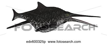 Stock Illustration - Shonisaurus marine reptile fish isolated on white background.. Fotosearch