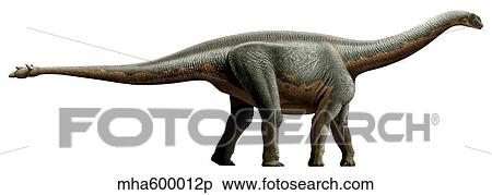 Shunosaurus, a genus of sauropod dinosaur from Middle Jurassic. View Large Illustration Stock Illustration - Shunosaurus, a genus of sauropod dinosaur from Middle Jurassic.. Fotosearch