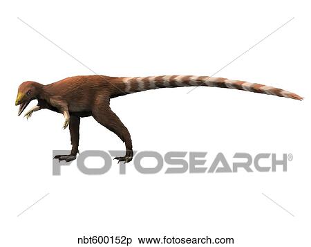 Stock Illustration - Sinosauropteryx dinosaur.. Fotosearch