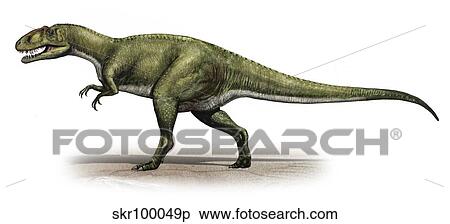 Sinraptor dongi, a prehistoric era dinosaur. View Large Illustration Stock Illustration - Sinraptor dongi, a prehistoric era dinosaur.. Fotosearch
