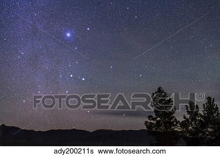 Sirius & Canis Major rising in New Mexico. View Large Photo Image Stock Photograph - Sirius & Canis Major rising in New Mexico.. Fotosearch