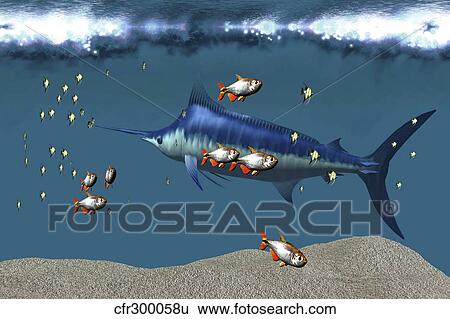 Stock Illustration - Small fish accompany a blue marlin in an ocean world habitat.. Fotosearch