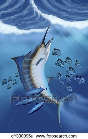 Stock Illustration - Small fish scatter as a huge Blue Marlin swims to the surface.. Fotosearch