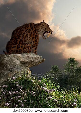Smilodon Californicus sits atop a rock at the top of a hill. View Large Illustration Stock Illustration - Smilodon Californicus sits atop a rock at the top of a hill.. Fotosearch
