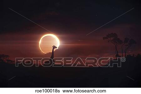 Solar eclipse over Africa. View Large Illustration Stock Illustration - Solar eclipse over Africa.. Fotosearch