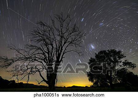 Southern skies star trails, Mudgee, New South Wales, Australia. View Large Photo Image Stock Photograph - Southern skies star trails, Mudgee, New South Wales, Australia.. Fotosearch