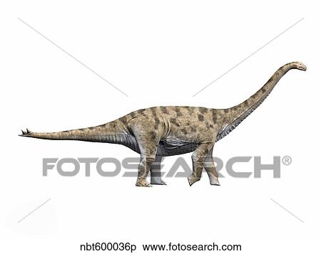 Spinophorosaurus nigerensis, Middle Jurassic of Niger. View Large Illustration Stock Illustration - Spinophorosaurus nigerensis, Middle Jurassic of Niger.. Fotosearch