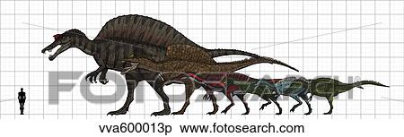 Spinosauridae size chart. View Large Illustration Stock Illustration - Spinosauridae size chart.. Fotosearch