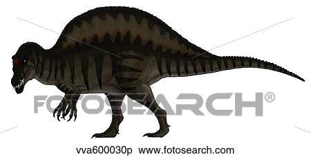 Spinosaurus, a large carnivore of the Cretaceous period. View Large Illustration Stock Illustration - Spinosaurus, a large carnivore of the Cretaceous period.. Fotosearch