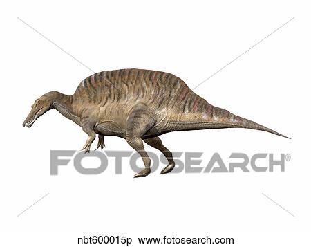 Spinosaurus aegyptiacus, Early Cretaceous of Egypt. View Large Illustration Stock Illustration - Spinosaurus aegyptiacus, Early Cretaceous of Egypt.. Fotosearch