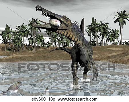 Spinosaurus dinosaur walking in water and feeding on fish. View Large Illustration Stock Illustration - Spinosaurus dinosaur walking in water and feeding on fish.. Fotosearch