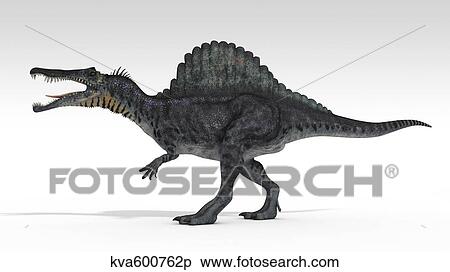 Spinosaurus dinosaur, white background. View Large Illustration Stock Illustration - Spinosaurus dinosaur, white background.. Fotosearch