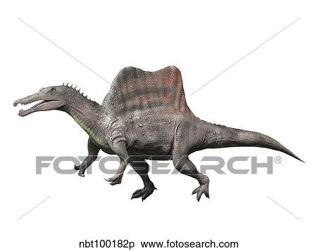 Spinosaurus is a theropod from the Late Cretaceous period. View Large Illustration Stock Illustration - Spinosaurus is a theropod from the Late Cretaceous period.. Fotosearch