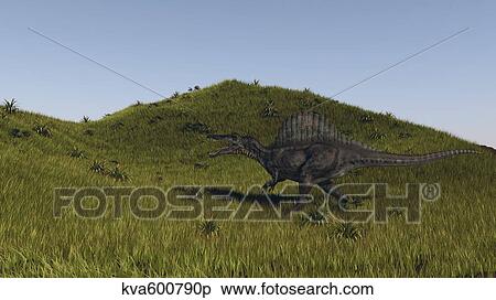 Spinosaurus walking across a grassy field. View Large Illustration Stock Illustration - Spinosaurus walking across a grassy field.. Fotosearch