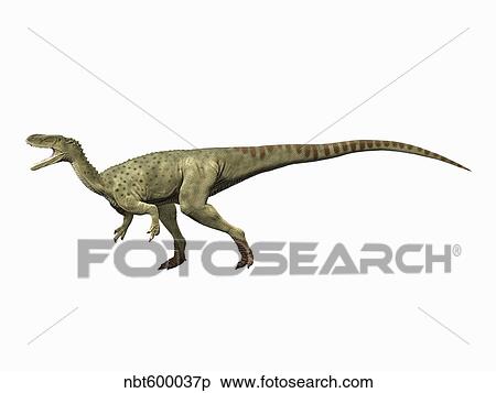 Spinostropheus gautieri, Middle Jurassic of Niger. View Large Illustration Stock Illustration - Spinostropheus gautieri, Middle Jurassic of Niger.. Fotosearch