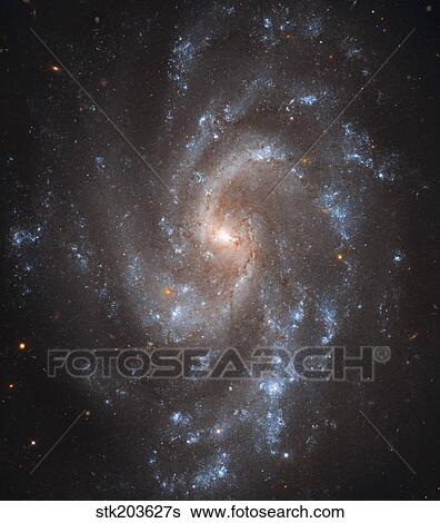 Spiral Galaxy NGC 5584 View Large Photo Image Stock Photograph - Spiral Galaxy NGC 5584. Fotosearch