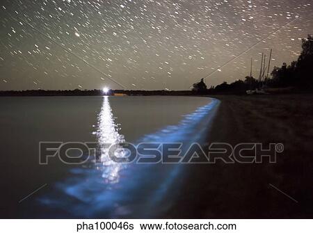 Star trails and bioluminescence, Gippsland Lakes, Australia. View Large Photo Image Stock Photograph - Star trails and bioluminescence, Gippsland Lakes, Australia.. Fotosearch