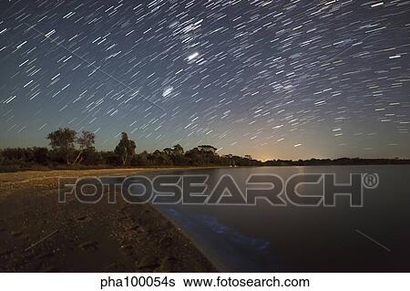 Star trails and bioluminescence, Gippsland Lakes, Australia. View Large Photo Image Stock Photograph - Star trails and bioluminescence, Gippsland Lakes, Australia.. Fotosearch