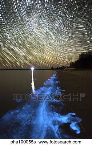 Star trails and bioluminescence, Gippsland Lakes, Australia. View Large Photo Image Stock Photograph - Star trails and bioluminescence, Gippsland Lakes, Australia.. Fotosearch