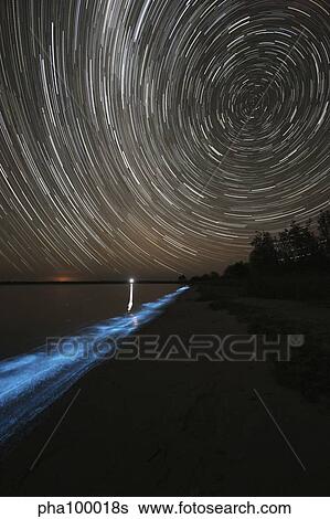 Star trails over bioluminescence in the Gippsland Lakes, Australia. View Large Photo Image Stock Photograph - Star trails over bioluminescence in the Gippsland Lakes, Australia.. Fotosearch