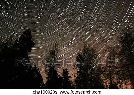 Stock Photograph - Star trails over the trees in Aberdeen, Scotland.. Fotosearch
