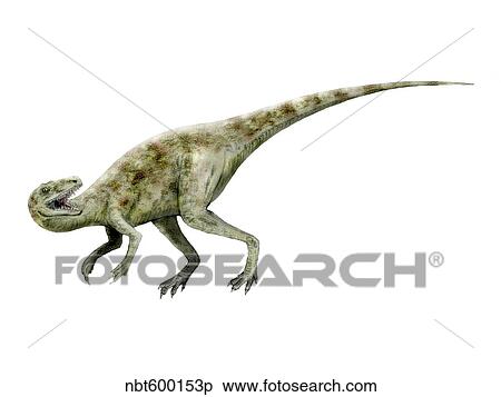 Stock Illustration - Staurikosaurus dinosaur.. Fotosearch