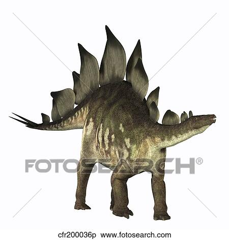 Stock Illustration - Stegosaurus dinosaur. Fotosearch
