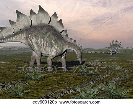 Stock Illustration - Stegosaurus dinosaurs grazing on plants.. Fotosearch