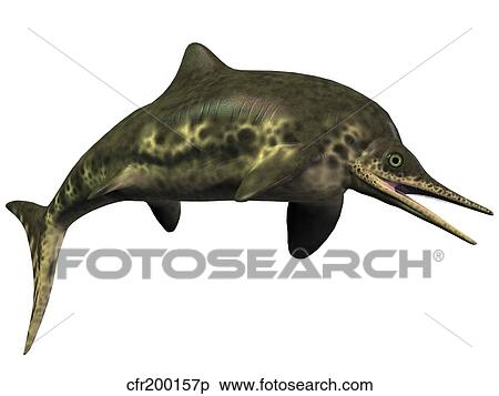 Stock Illustration - Stenopterygius was an ichthyosaur from the Jurassic Period. Fotosearch