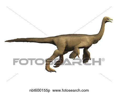 Struthiomimus dinosaur. View Large Illustration Stock Illustration - Struthiomimus dinosaur.. Fotosearch