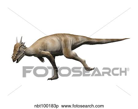 Stygimoloch is a pachycephalosaurid dinosaur. View Large Illustration Stock Illustration - Stygimoloch is a pachycephalosaurid dinosaur.. Fotosearch