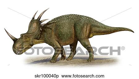 Styracosaurus albertensis, a prehistoric era dinosaur. View Large Illustration Stock Illustration - Styracosaurus albertensis, a prehistoric era dinosaur.. Fotosearch