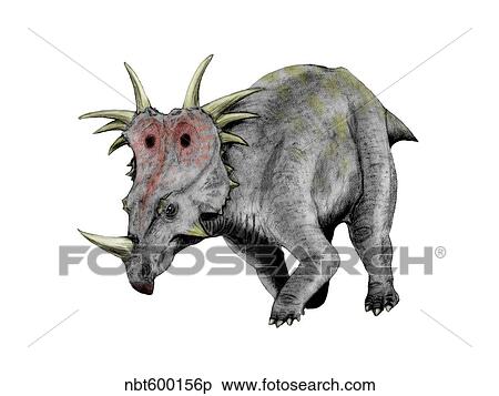 Styracosaurus dinosaur. View Large Illustration Stock Illustration - Styracosaurus dinosaur.. Fotosearch