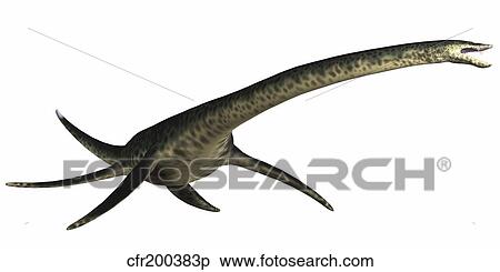 Styxosaurus marine reptile from the Cretaceous Period. View Large Illustration Stock Illustration - Styxosaurus marine reptile from the Cretaceous Period.. Fotosearch