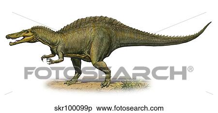 Suchomimus tenerensis, a prehistoric era dinosaur. View Large Illustration Stock Illustration - Suchomimus tenerensis, a prehistoric era dinosaur.. Fotosearch