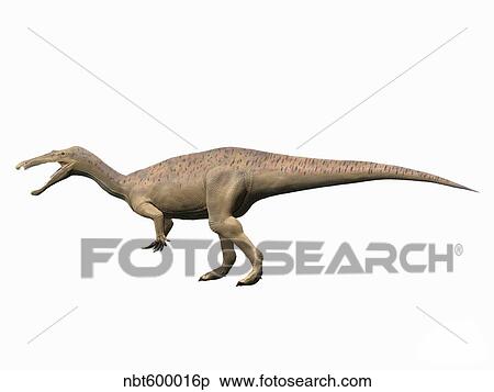 Suchomimus tenerensis, Early Cretaceous of Niger. View Large Illustration Stock Illustration - Suchomimus tenerensis, Early Cretaceous of Niger.. Fotosearch
