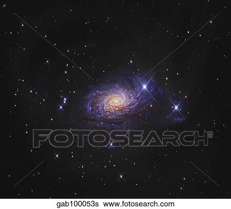 Stock Photograph - Sunflower Galaxy. Fotosearch