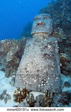 Sunken Moai, Easter Island, Chile. View Large Photo Image Stock Photograph - Sunken Moai, Easter Island, Chile.. Fotosearch