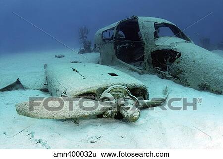 Sunken plane from the film Jaws 4, Nassau, The Bahamas. View Large Photo Image Stock Photograph - Sunken plane from the film Jaws 4, Nassau, The Bahamas.. Fotosearch
