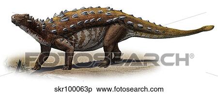 Talarurus plicatospineus, a prehistoric era dinosaur. View Large Illustration Stock Illustration - Talarurus plicatospineus, a prehistoric era dinosaur.. Fotosearch