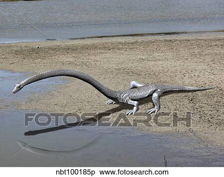 Tanystropheus is an archosauromorph from the Middle Triassic period. View Large Illustration Stock Illustration - Tanystropheus is an archosauromorph from the Middle Triassic period.. Fotosearch