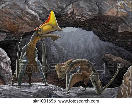 Tapejara wellnhoferi pterosaurs seek shelter inside a cave from a rain storm. View Large Illustration Stock Illustration - Tapejara wellnhoferi pterosaurs seek shelter inside a cave from a rain storm.. Fotosearch